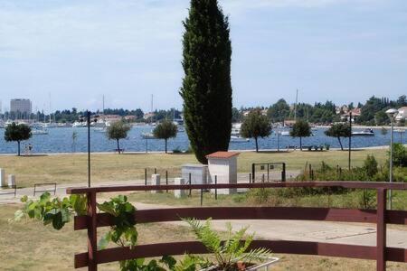 Apartament Murin Delfin Umag Zewnętrze zdjęcie