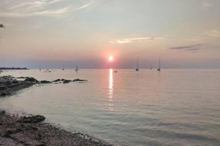 Apartament Murin Delfin Umag Zewnętrze zdjęcie