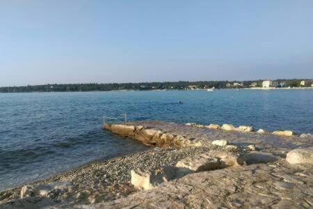 Apartament Murin Delfin Umag Zewnętrze zdjęcie